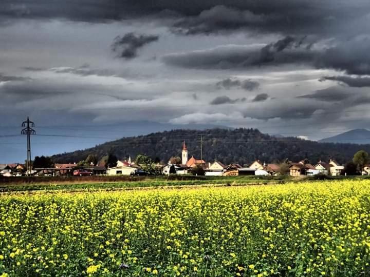 Michoart Daire Ljubljana Dış mekan fotoğraf